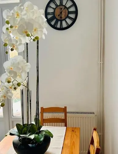 Celine * Cormontreuil